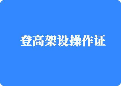 靠逼网逼逼操玩登高架设操作证